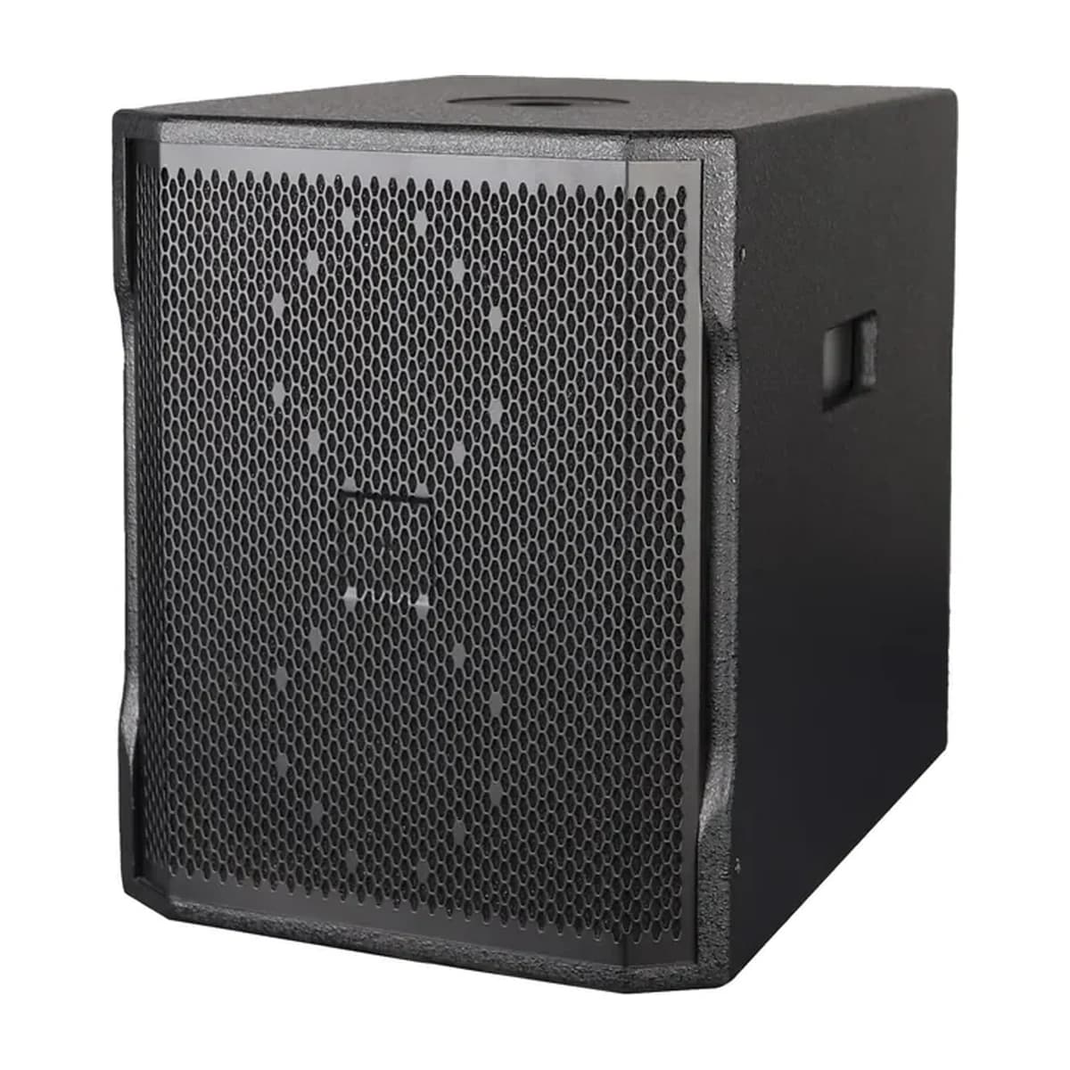 TT12SP Active DSP Subwoofer